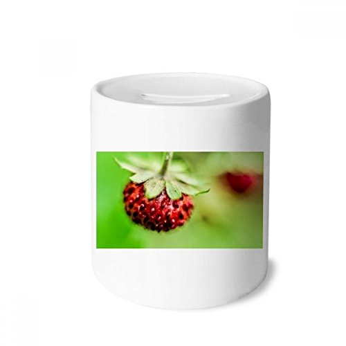 Tirelire enfants et adultes en céramique motif photo fraise berry multicolore nature héliographie