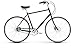 Raleigh Bikes Haskell City Bike