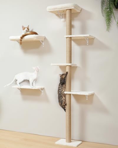 FUKUMARU Étagères Murales pour Chat,Ensemble de Meubles Stables Fixés au Mur pour Chats, Grattoir avec Perche Coussinée Douce, Mur d'escalade, Beige