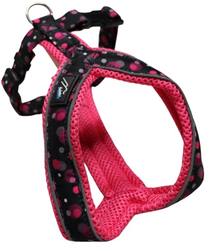 [hakusan] nNT WpfUCEbVY^hbgn[lX (sN, 45)