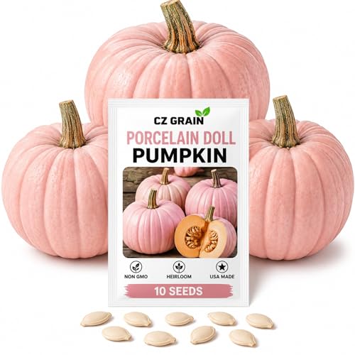 Rare Porcelain Doll Pink Pumpkin Seeds 10 Easy-to-Grow Decorative Pumpkins with Stunning Soft Pink Color Perfect for Fall Garden Home Dcor and Craft Projects