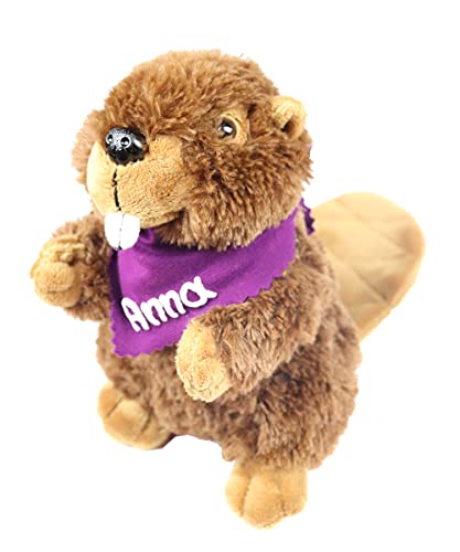 Kuscheltier Biber braun 17,5cm mit Namen am Halstuch- Personalisiertes Kuscheltier - Personalisiertes Kindergeburtstagsgeschenk - Stofftier mit Wunschbeschriftung für Mädchen und Jungen