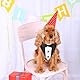 Hund Smoking Bandana Halsband Hochzeit Fliege für Hunde Fliege Verstellbar für Krawatte Haustiere Formelle Halsketten Hund Welpe Kätzchen Hochzeit Geburtstag Schwarz Weiss