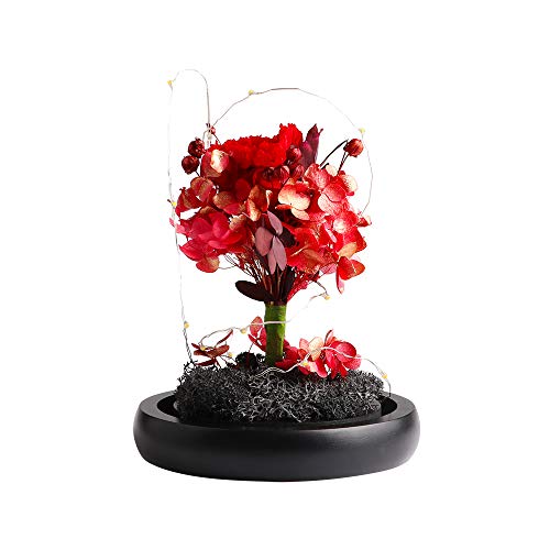 Preserved Flowers - Cooak Handmade Preserved Carnation, Upscale Flowers With Led Lights Red Preserved Flowers In Glass Dome Gift For Her Thanksgiving Christmas Valentine's Day Birthday Mother's Day #TOP2