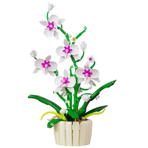 ~jubN   Ӓ ԑ ߋ DIYA Zbg a v[g ubN j  12 l q   (sN)