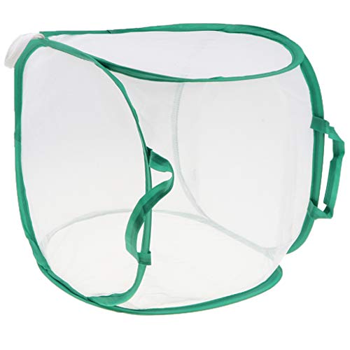 SM SunniMix Pop Up Insect and Butterfly Habitat Cage Terrarium - 11.81inch Tall, Zippered Design