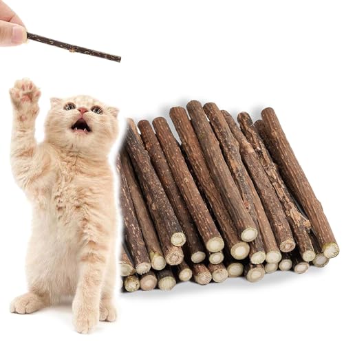 vcsjw Katzenminze Stick,30 Stück Matatabi Stick Katze,Natürlich Katzensticks,Katzengras Sticks,Katzen Sticks,Katzen Zahnpflege und Gegen Mundgeruch,Schleifen von Zähnen (Durchmesser 5-7mm) vcsjw Katzenminze Stick,30 Stück Matatabi Stick Katze,Natürlich Katzensticks,Katzengras Sticks,Katzen Sticks,Katzen Zahnpflege und Gegen Mundgeruch,Schleifen von Zähnen (Durchmesser 5-7mm)