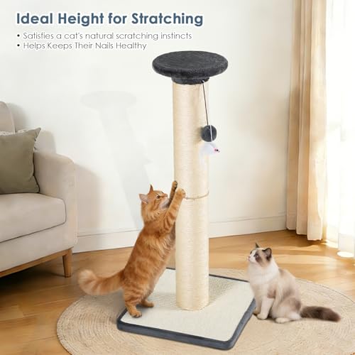Rascador para gato resistente con poste y base de madera miniatura 5