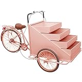JIYIAN Pink,Style 1, Portable Type Vending Cart Three Wheel Pizza Delivery Bike Fast Mobile Coffee Outdoor Sunshade Dining Cart Market Stall Snack Cart