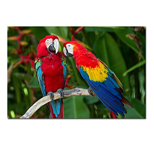 Lienzo de gran tamaño, pinturas impresas, póster de loros coloridos para sala de estar, decoración Interior del hogar, lienzo, cuadro de arte de pared, 46x69cm sin marco Cover