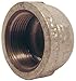 Pannext Fittings G-CAP02 0.25 in. Galvanized Cap