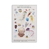 YNTNDYGV Vintage Jellyfish Poster Marine Life Biology Knowledge Poster Decorative Painting Canvas Wall Art Living Room Posters Bedroom Painting 12x18inch(30x45cm)