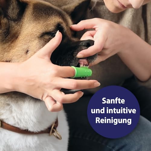 Canosept Zahnbürste für Hunde (3 Stück) – Zahnbürste – Plaque Zerstörer – frischer Atem – Reinigung und Hygiene – gegen Zahnstein