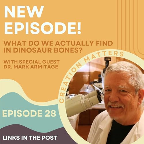 What Do We Actually Find in Dinosaur Bones? (guest Dr. Mark Armitage)
