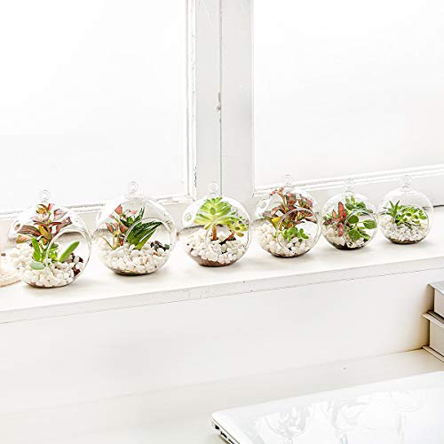 Umeied 6 Pack Hanging Glass Terrarium, Glass Air Plants Holders With Ropes, Hanging Glass Tealight Candles, Plant Terrarium Globes For Bar Garden Wedding Party Decoration (Plants Not Included) #TOP5
