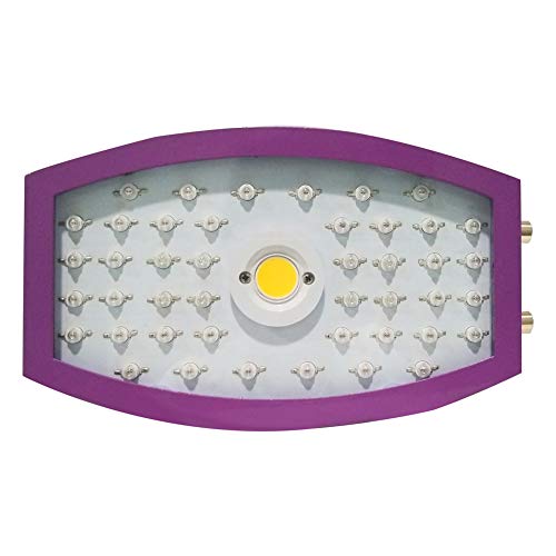 1100W Optical Lense Series LED Pflanzenlampe Dual LED Grow Light Vollspektrum Wachsen Mit Schalter Für Zimmerpflanzen Gemüse Und Blumen