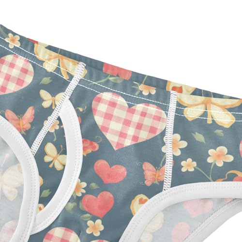 Wusikd Gingham Hearts Boys' Underwear Cotton Butterflies Boys Briefs Soft Toddler Underwear 2T4