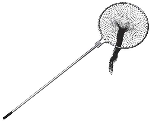 Olba Grande épuisette télescopique volailles, Poules, Canards