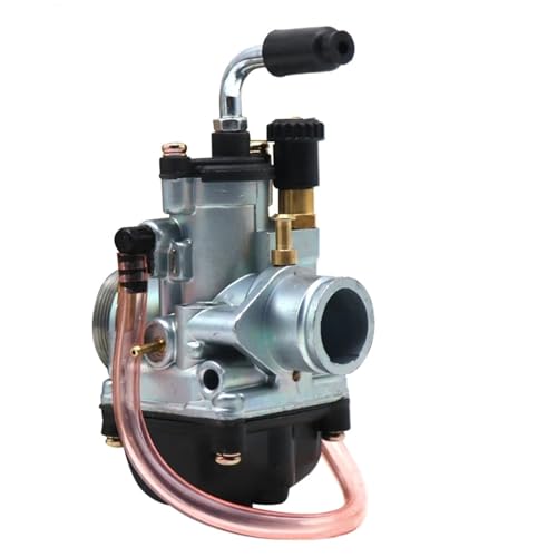 BSWRTH 19mm Motorradvergaser Vergaser