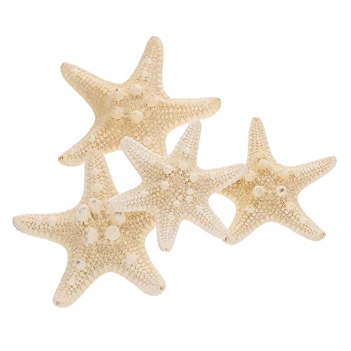 BCOATH 4pcs Natural Decorative Ornaments Sea Shells for Decorating Accessories Centerpiece Table Decorations Wall Decor Home Decor