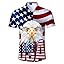 B7-a2-usa 01