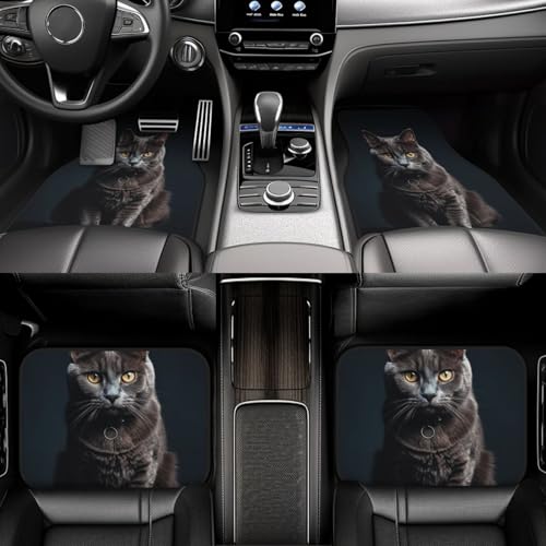 Tapis de sol voiture chat lot de 4 pour SUV et camions toutes saisons