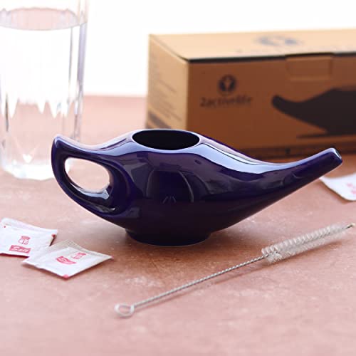 Top 10 Walgreens Neti Pot Kit of 2022 Katynel