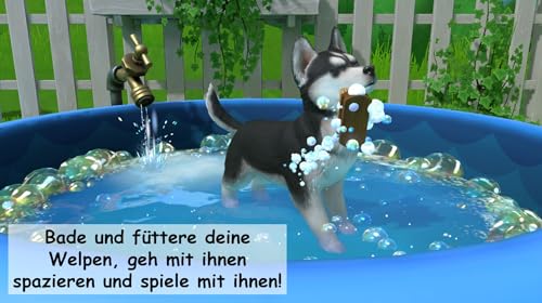Little Friends 2: Puppy Island - Die Insel der Welpen - [Nintendo Switch]