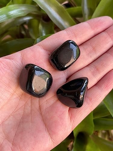 Image of GAF TREASURES 1 /2 LB Black Obsidian Tumbled Stones, Polished Black Obsidian Stone, Black Obsidian Healing Crystals (Black Obsidian)