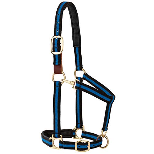 Weaver Equine Breakaway Horse Halter Comfort Foam Padding Adjustable Chin & Throat Snap Halters for Horses Equine Tack Average Size Blue