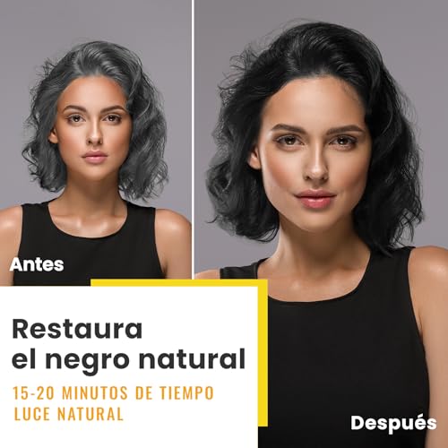 Schwarz Haarfärbeshampoo für Graues Haar 3 in 1, Haarfarben Shampoo für Männer und Frauen, Black Hair Dye Shampoo for Gray Hair, shampoo gegen graue haare (500 ml)
