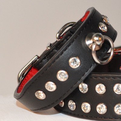 Kane & CoutureKane & Couture Brandy Collar, XX-Small