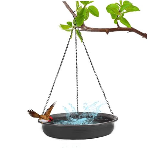 Plaque pour eau ou graines suspendue : la solution pour attirer les oiseaux