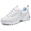White/Silver