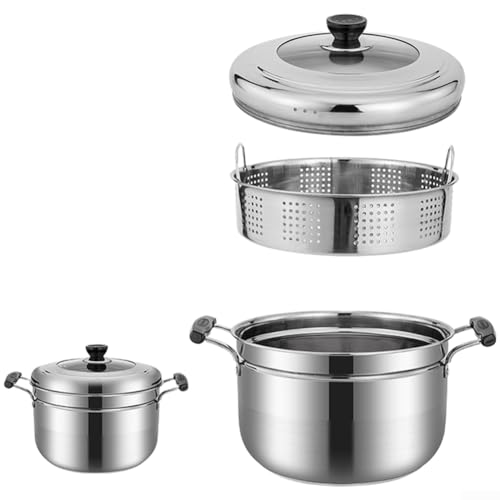 Olla de acero inoxidable con tapa de cristal y cesta de vapor integrada para estufas de gas y eléctricas, 22 cm, acero inoxidable 201/304