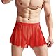 FakeFace Herren Sexy Sissy Minirock Höschen Knickers Mesh Slip mit Niedriger Taille, Crossdresser Unterwäsche Transparente Hot Dress für Nachtclub, Cosplay & Erotische Dessous, Reizwäsche für Männer