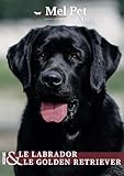 Mel Pet & Co - Le Mag Canin #20 : Labrador & Golden Retriever