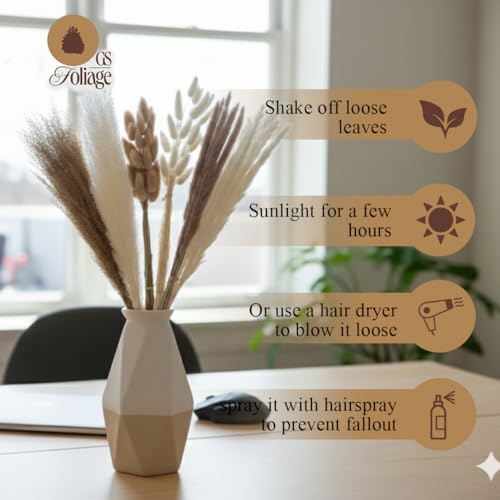 Ramo de Flores Secas, Paquete de 6 para Decoración miniatura 3