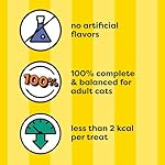 Temptations Birthday Crunchy and Soft Cat Treats Lobster and Beef Flavor, 16 oz. Tub - Image 4