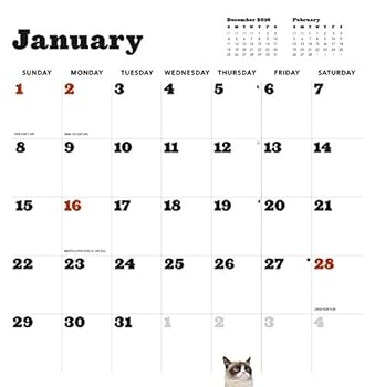Calendar Grumpy Cat 2017 Wall Calendar Book