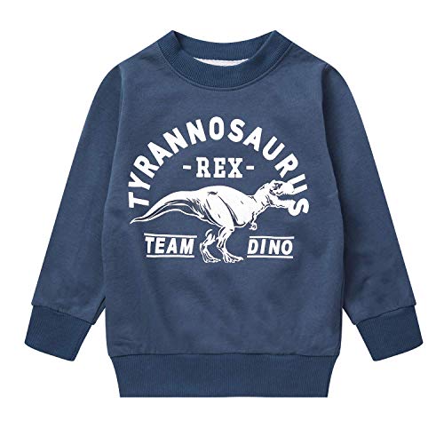 Toddler Boys Dinosaur Sweatshirt 100%Cotton Winter Warm Pullover Sweater 4T
