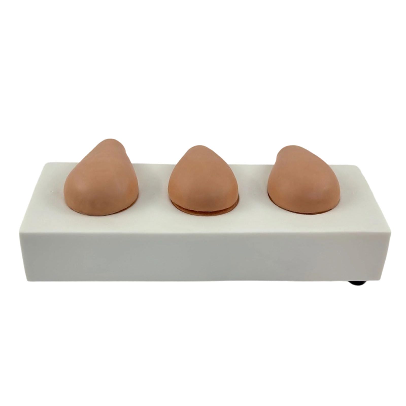 Kit professionale per anatomia uterina, strumento di texture in PVC per lo sviluppo delle abilità chirurgiche, strumenti di allenamento ginecologici