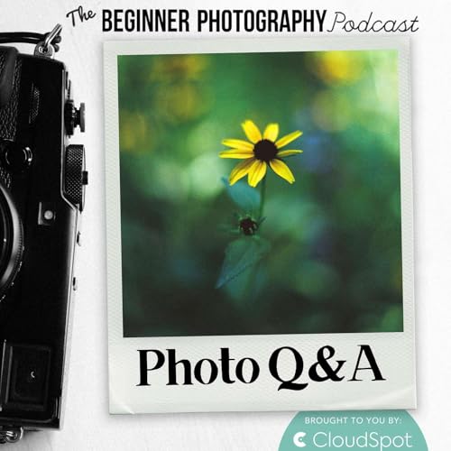 Photo Q&A: How to Avoid Wasting Money on Camera Gear
