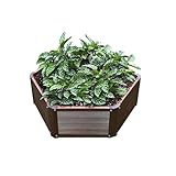 Hexagon Raised Garden Bed Kit, Single Unit, Single Layer, Planter Raised Garden Boxes for Vegetables, Flowers, Herbs and Succulents