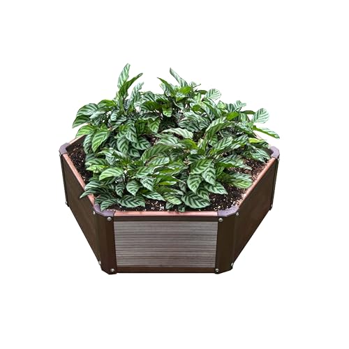 Hexagon Raised Garden Bed Kit, Single Unit, Single Layer, Planter Raised Garden Boxes for Vegetables, Flowers, Herbs and Succulents