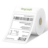 Anycash RL001