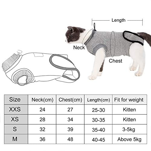 Alternativa al E-Collar de algodón para evitar infecciones en eccemas y cirugías 7