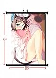 Anime family Anime Poster Wall Scroll The 'Hentai' Prince and the Stony Cat Tsukiko 90-03