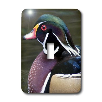 Interrupteur à baïonnette motif canard branchu Aix Sponsa d'Italie