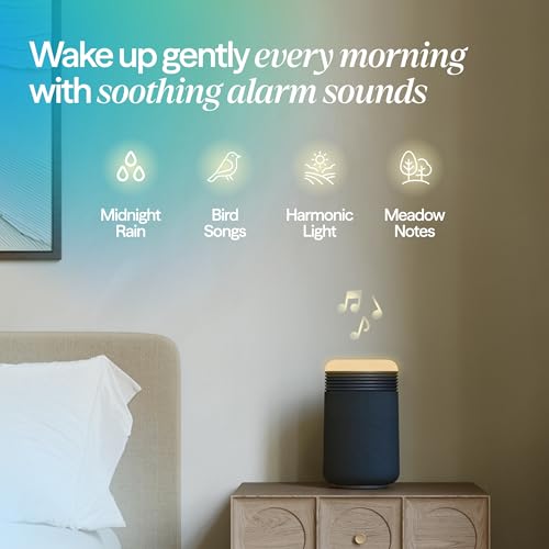 Blueair commercial air purifier